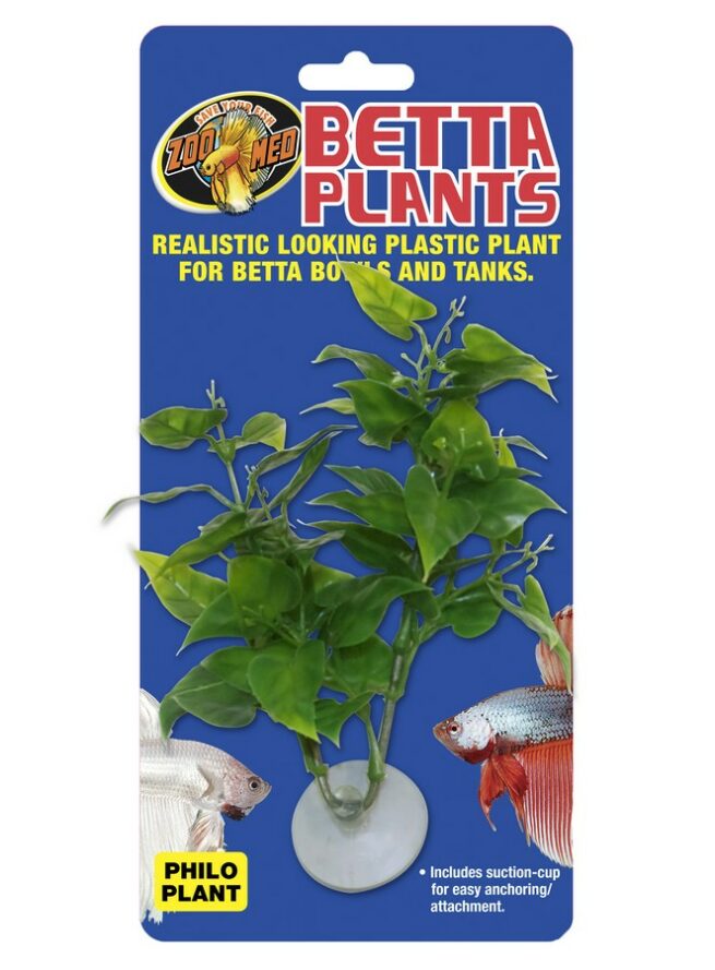 BP 20 Betta Plants Philo Plant
